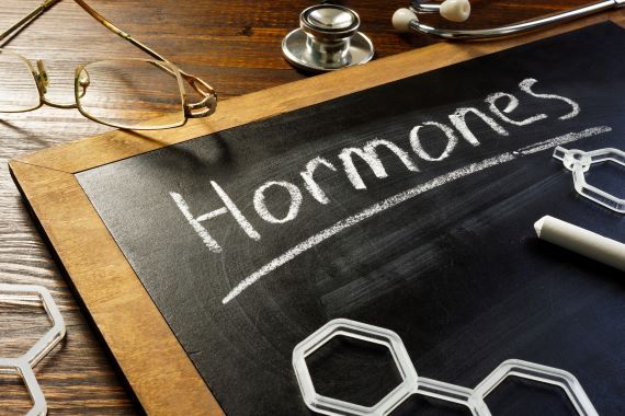 What Causes Hormonal Imbalances 3989